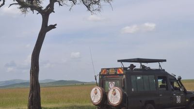 4 Days Masai Mara Budget Group Safari – Big Five Experience - Image - 13014